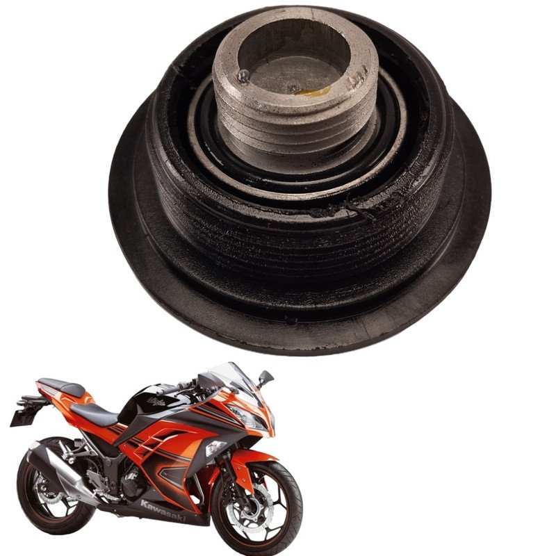 Tampa Ponto Kawasaki Ninja 300 2014