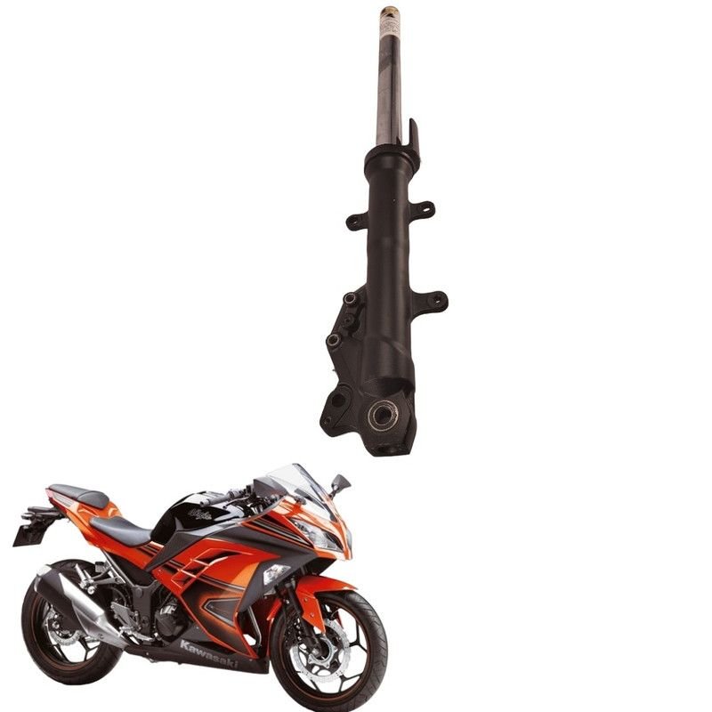 Carenagem Lateral Esquerda Kawasaki Ninja 300 2014