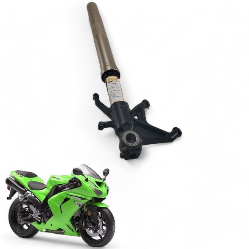 Bacalhau Dianteiro Esquerdo Kawasaki ZX 10R 2007