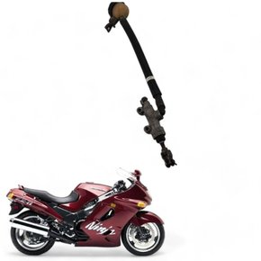 Pisca Traseiro Esquerdo Kawasaki ZX 11 1996