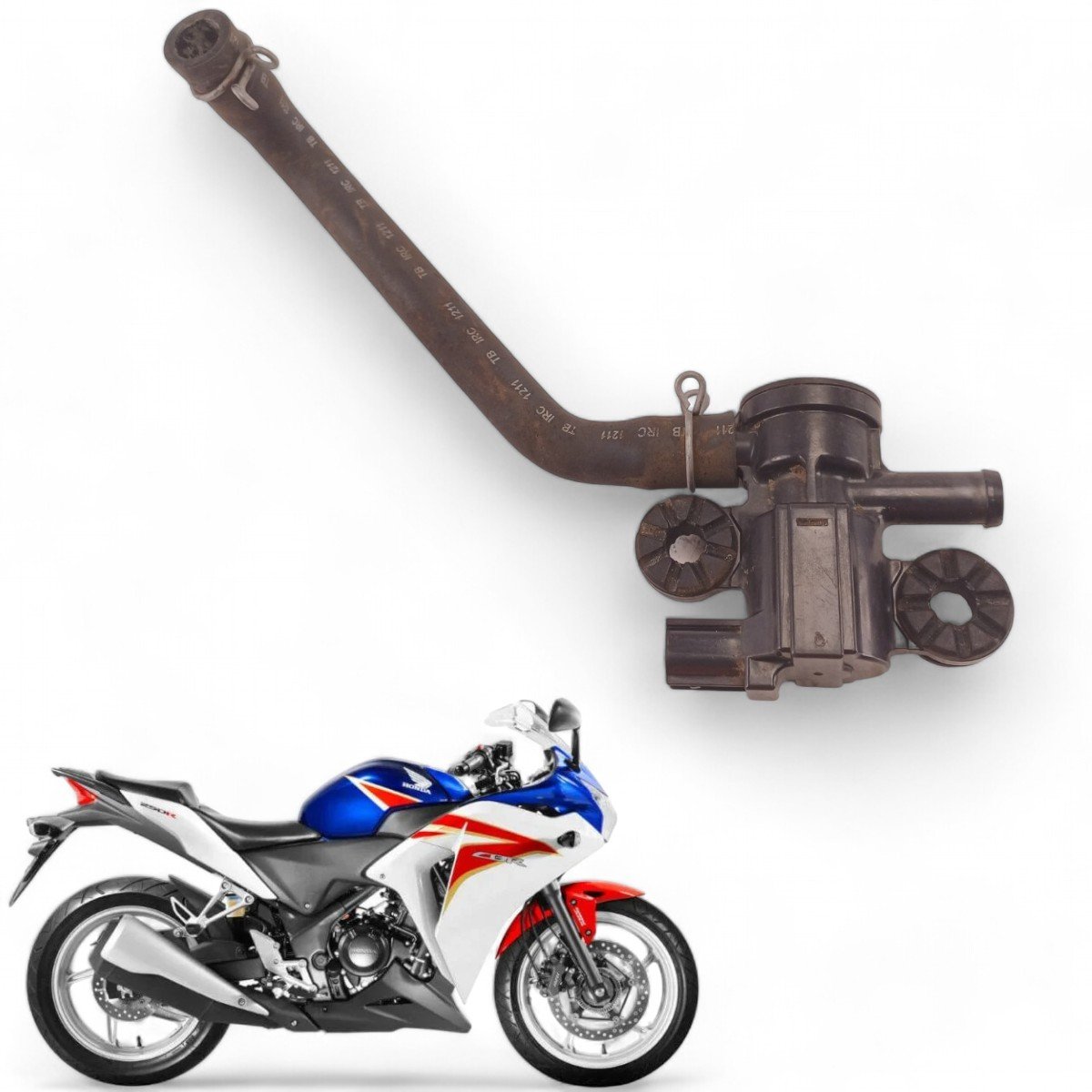 Bacalhau Dianteiro Esquerdo Honda Cbr 250 R 2012