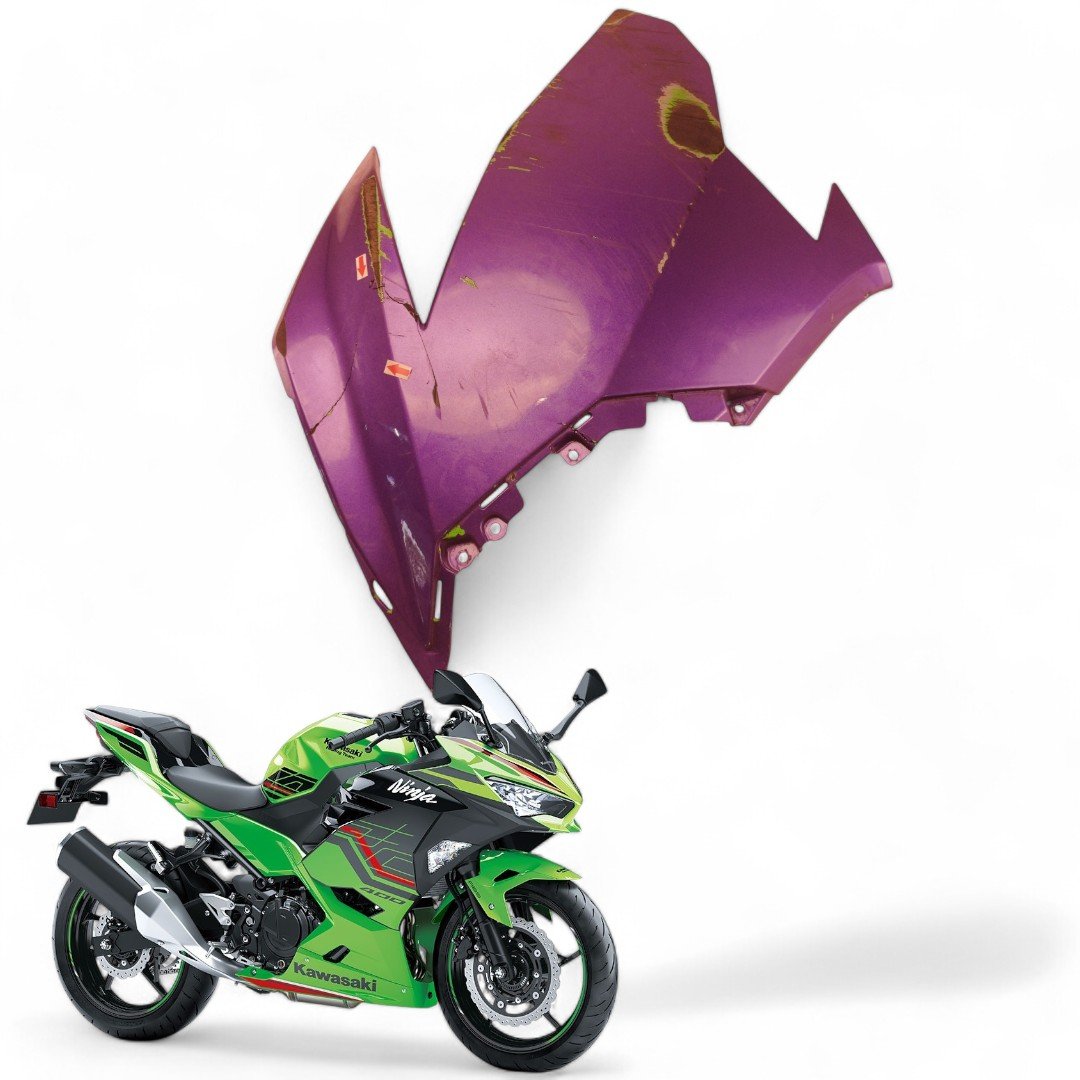Carenagem Lateral Esquerda Kawasaki Ninja 400 2019 Com Avaria