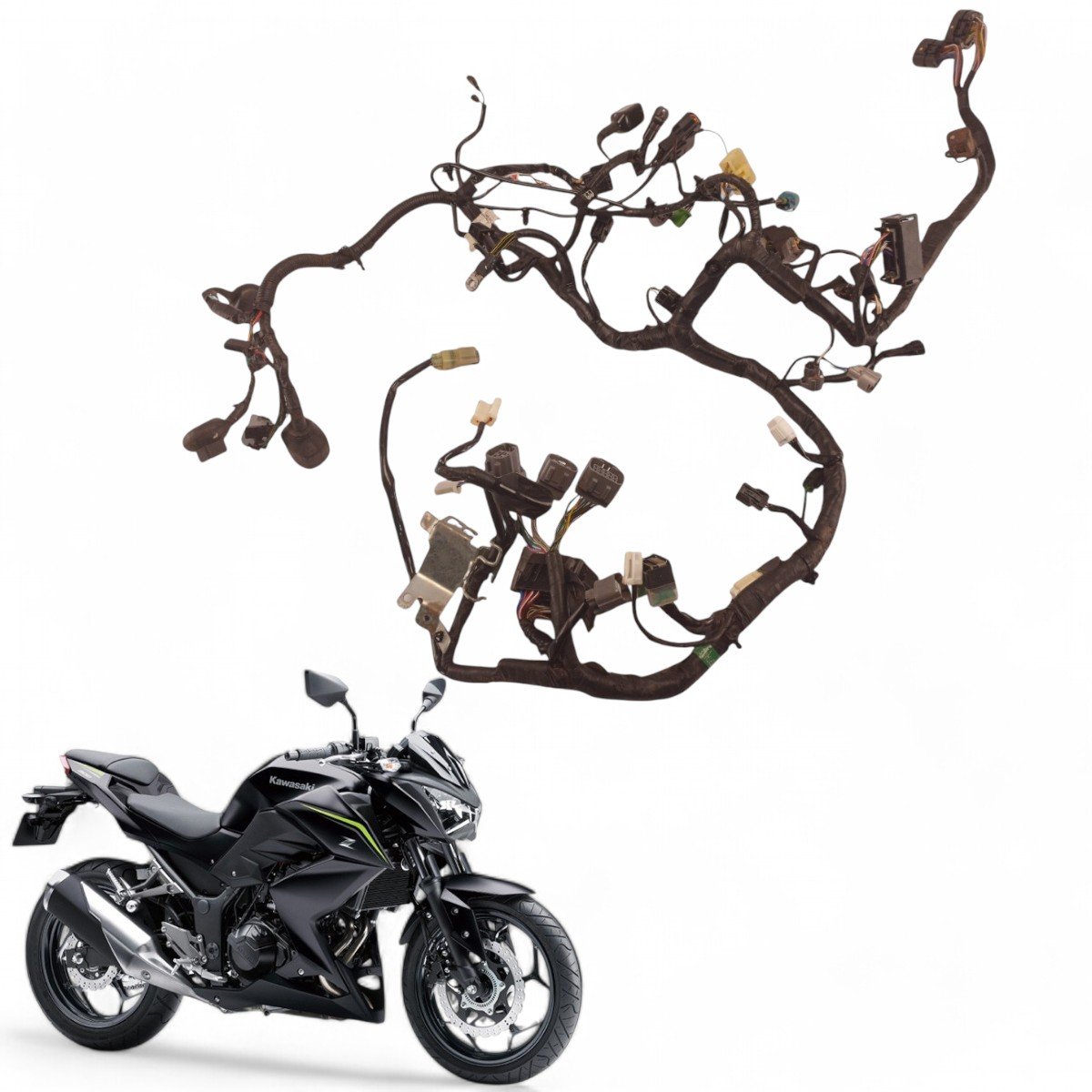 Chicote Principal Kawasaki Z300 2019 Com Avaria