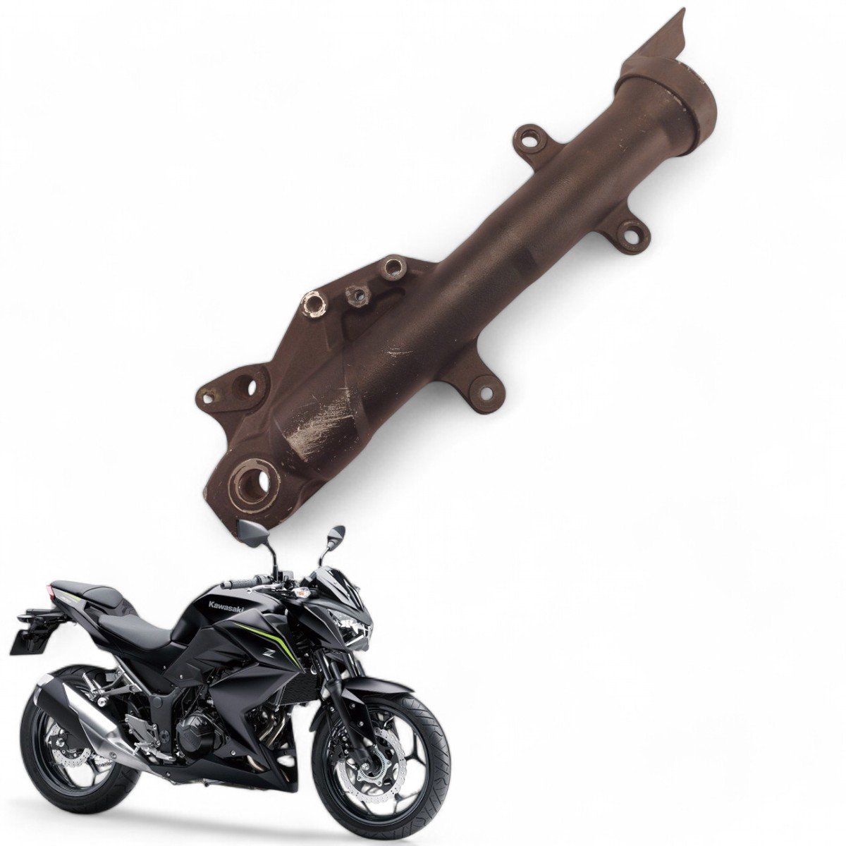 Canela Bengala Direita Kawasaki Z300 2019