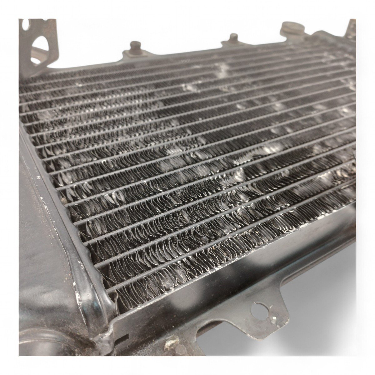 Radiador Kawasaki Zx 600 1995