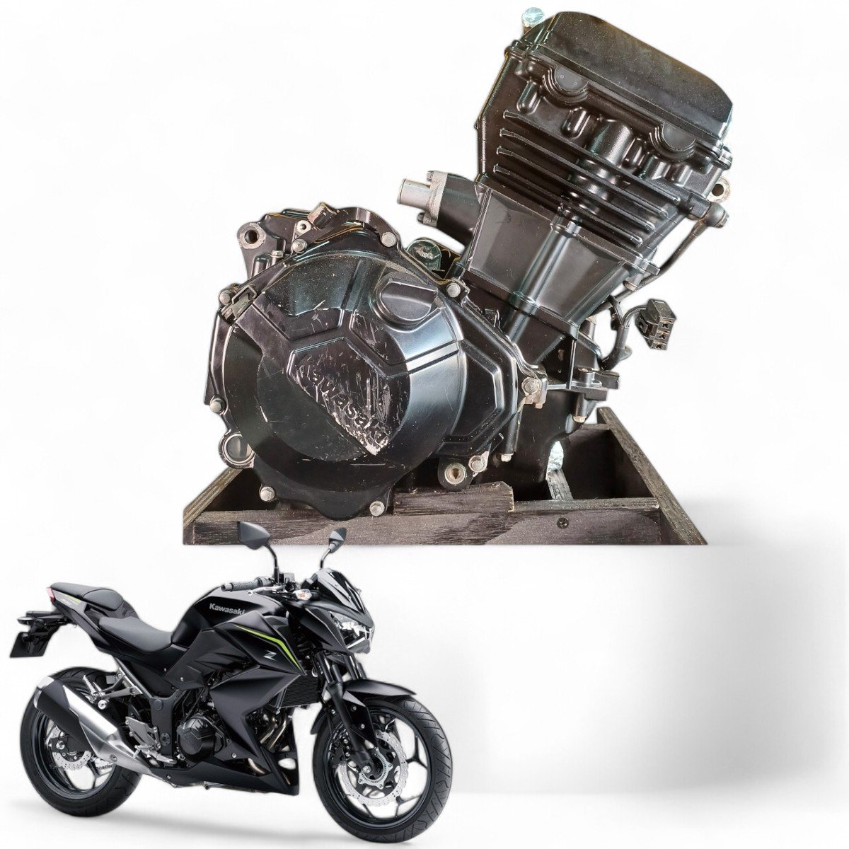 Motor Kawasaki Z300 2019