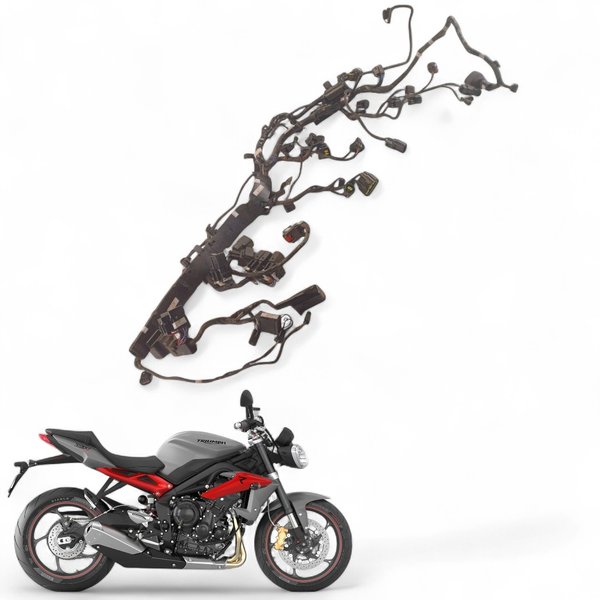 Faisceau électrique Principal Triumph Street Triple 675 – 2013 à 2016 – Occasion UK